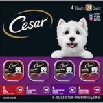 CESAR Adult Wet Dog Food Classic Loaf in Sauce Beef Recipe, Filet Mignon, Grilled Chicken and Porterhouse Steak Variety Pack, 3.5 oz. Easy Peel Trays (Pack of 24)