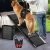 Dog Ramp for Car, 67″ Long & 17.3″ Wide Foldable Dog Ramp for Large Dogs – 250 lbs Capacity, Anti-Slip Felt Surface, Wide Pet Ramp with Dog Lift Harness for Old Dogs – Durable and Portable